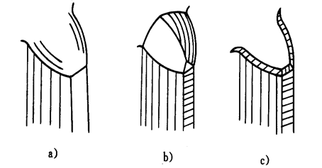 泰興減速機,齒輪減速機,江蘇省泰興減速機廠